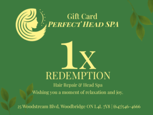 Hair Repair & Head Spa Gift Card